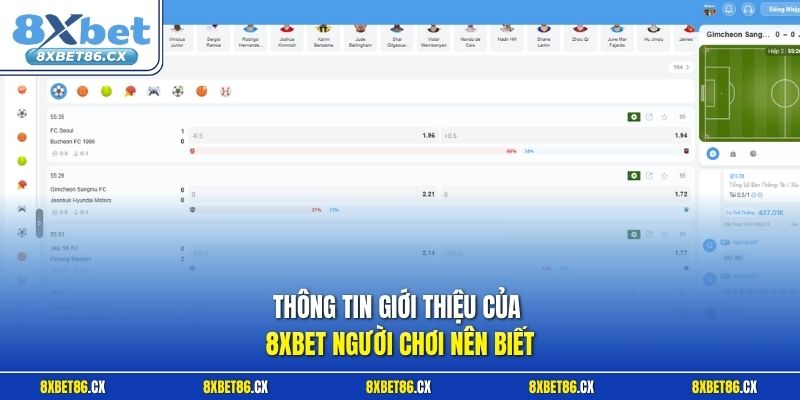 Thông tin giới thiệu của 8xbet người chơi nên biết